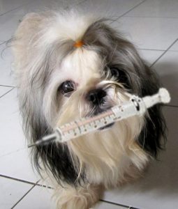 Dog-Vaccine